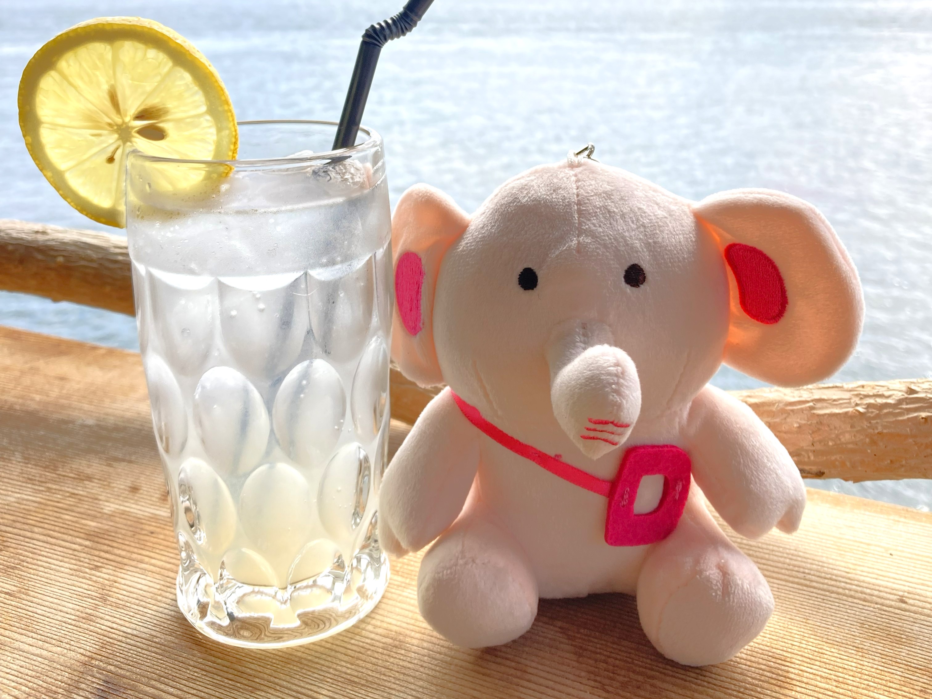 01_サムネイル_だいぞうとレモンスカッシュ