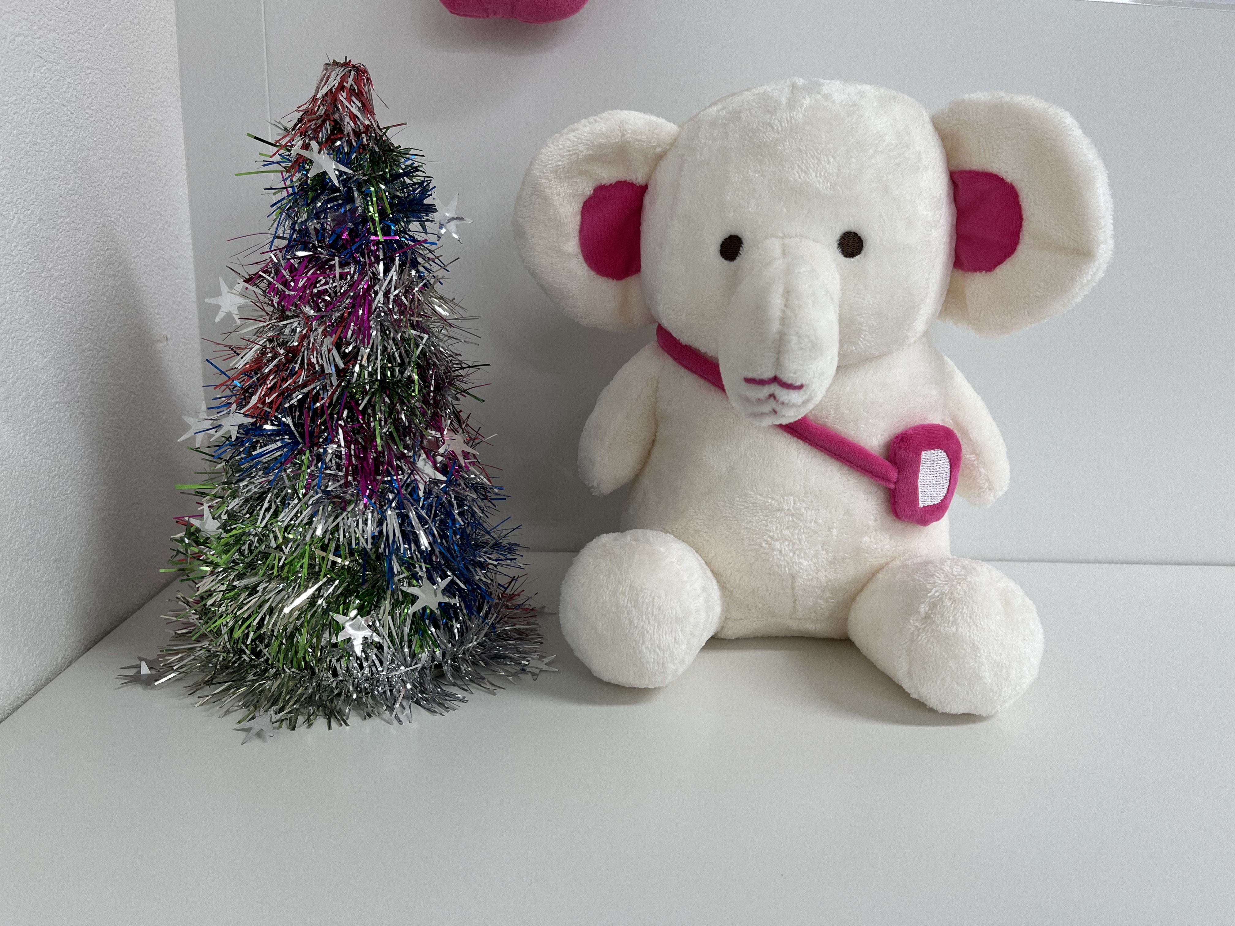 だいぞうも大喜び！今年のギフトはクリスマスケーキ