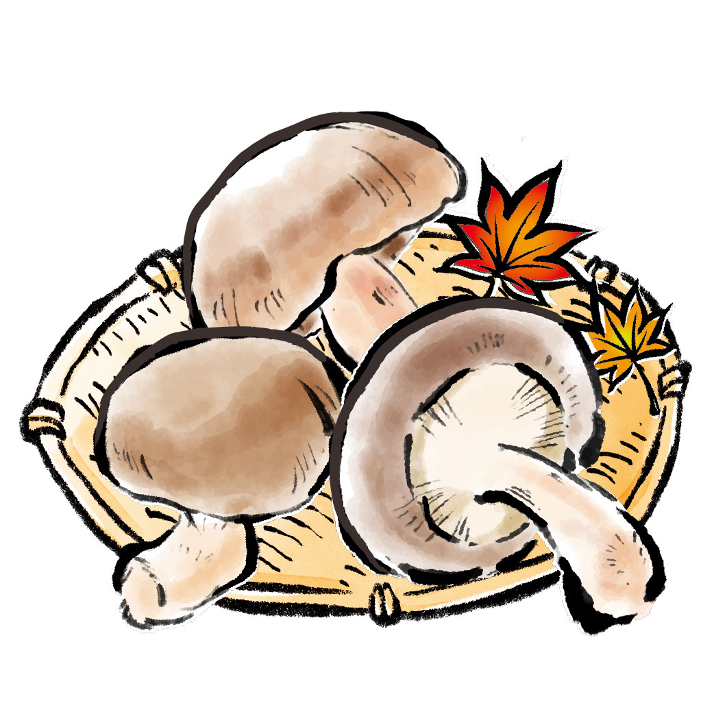 肉厚しいたけ天