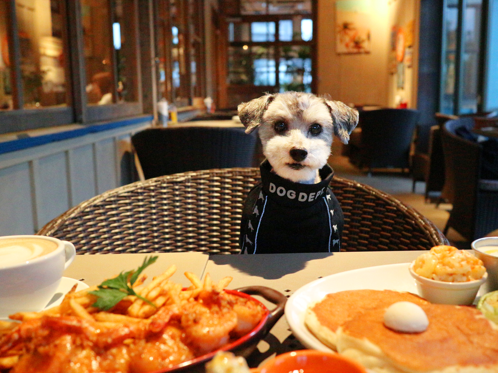 ★コナズ様確認ページ★ コナズ珈琲（ハワイアン カフェ・レストラン）