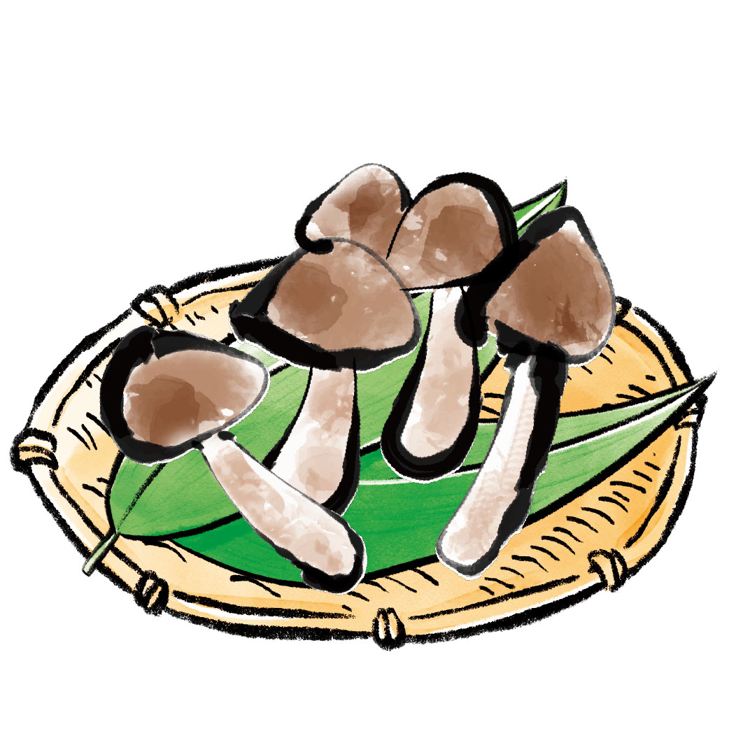 ぶなクイーン天