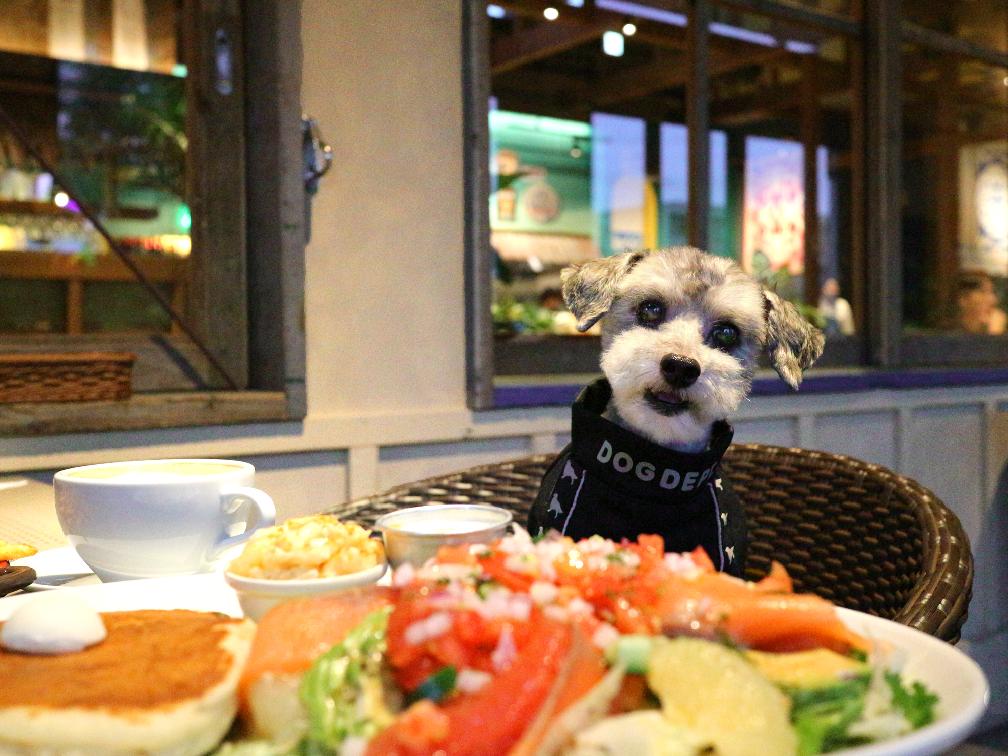 愛知県3店舗目は、岡崎市！コナズ珈琲 岡崎美合店2025年11月27日（木