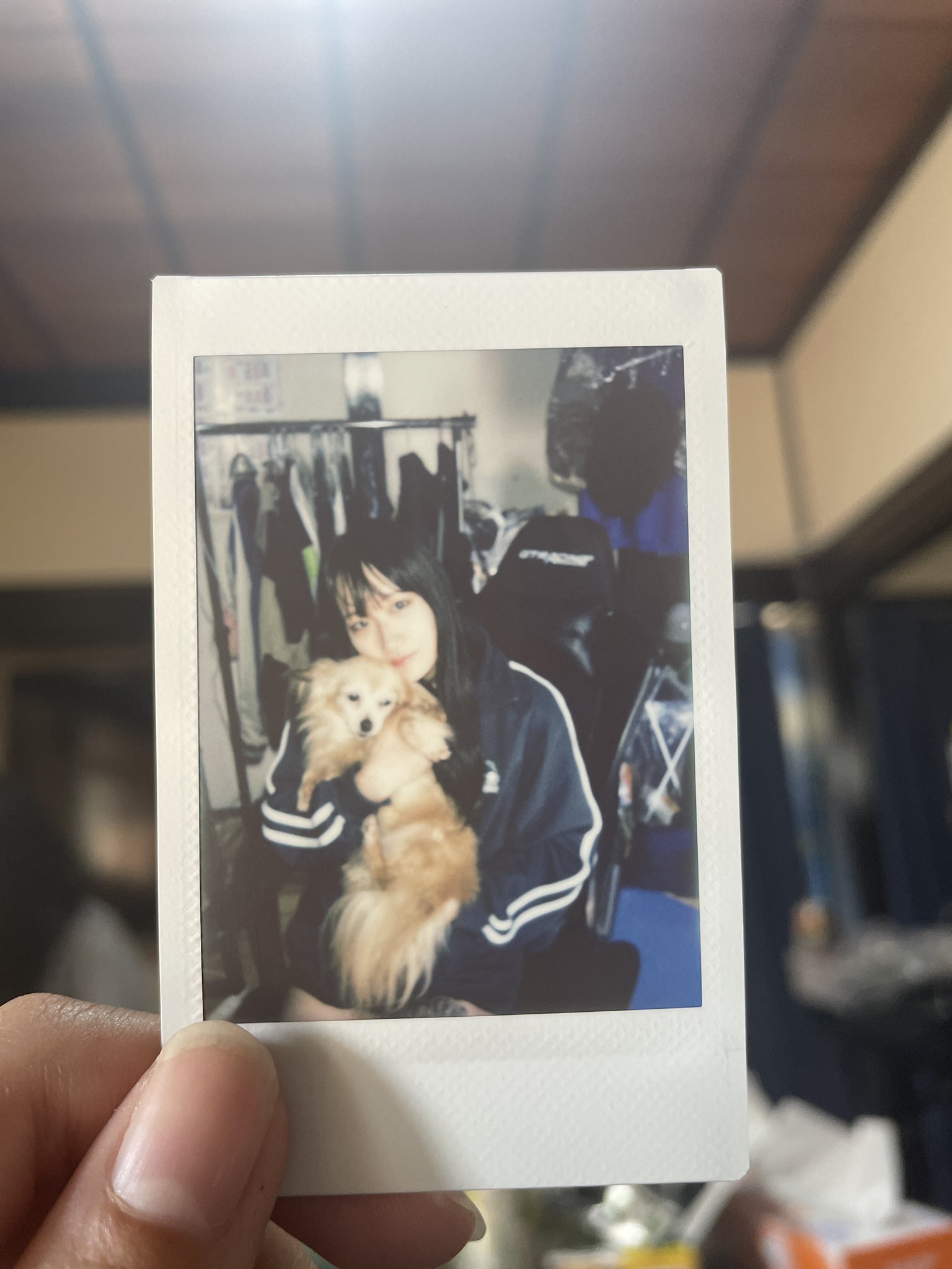 おっちち姫の画像3