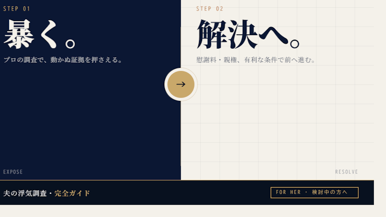 夫 浮気調査