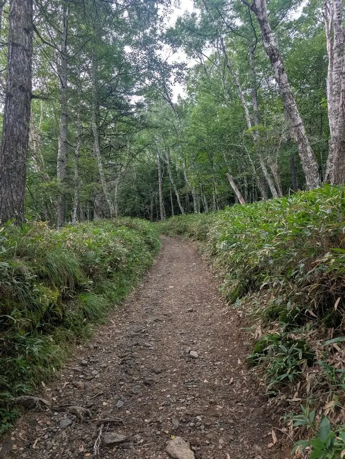 本沢温泉　登山道