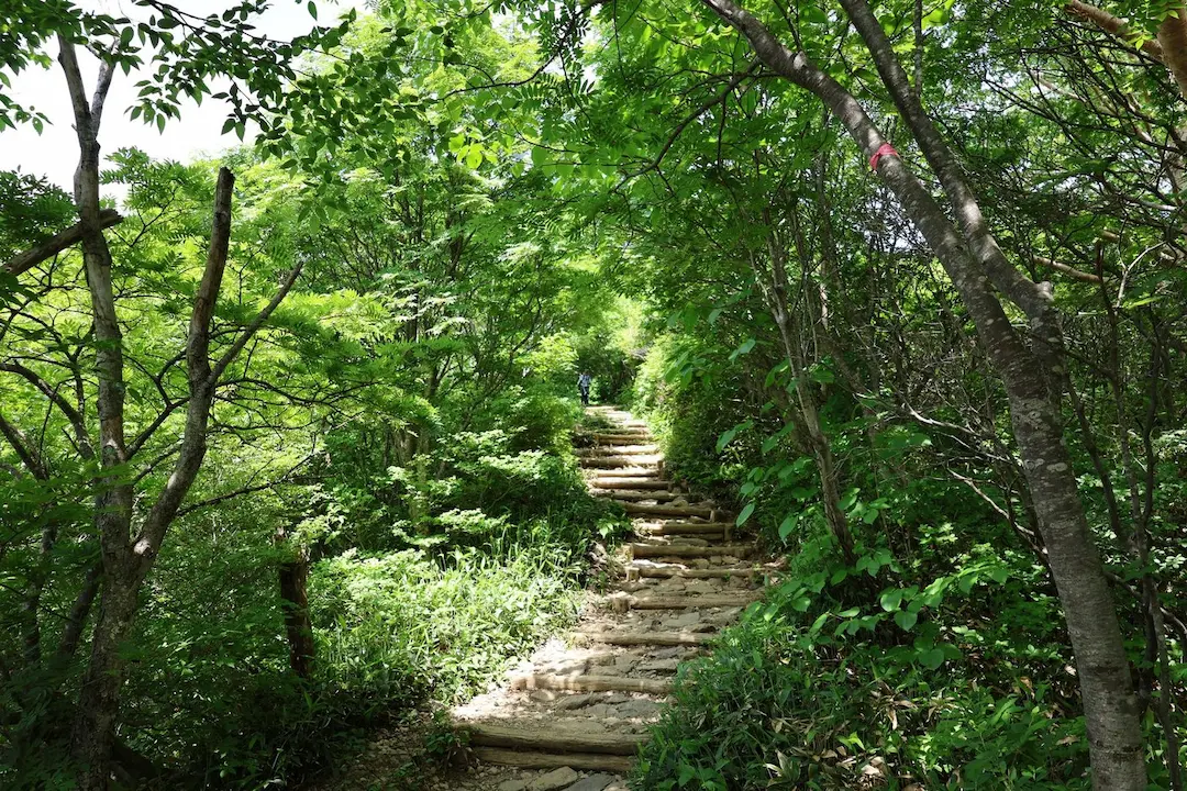 那須岳登山道