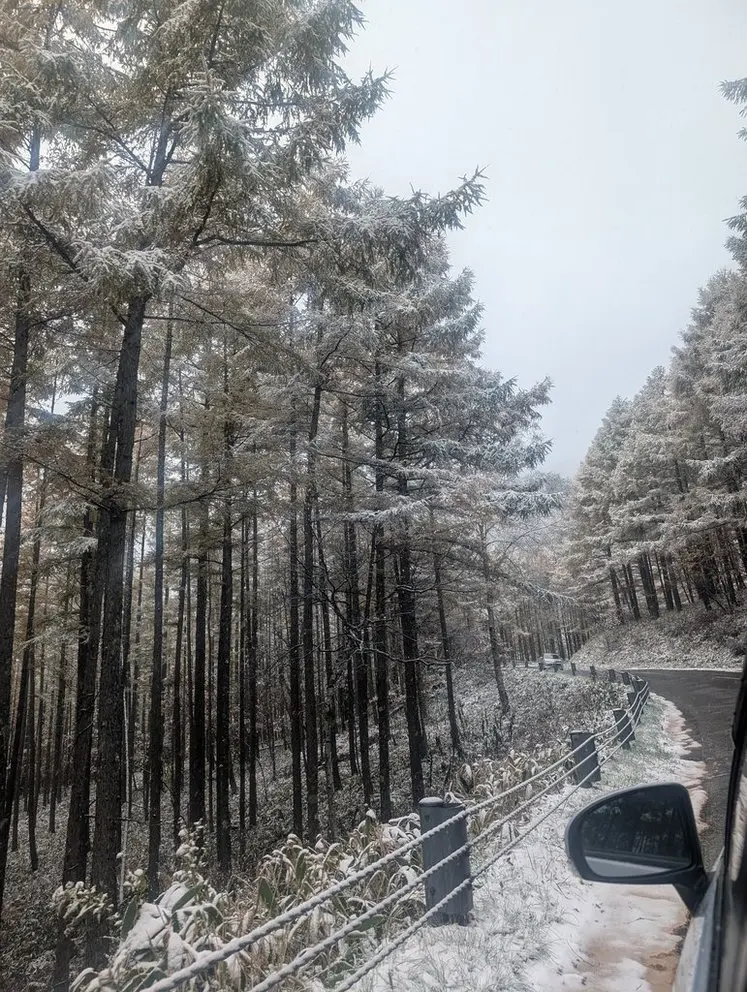 チェリーパークライン　初雪