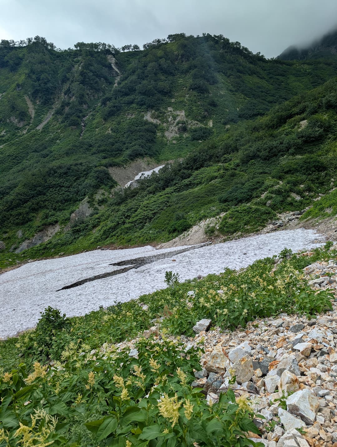 白馬鑓温泉道中の雪渓