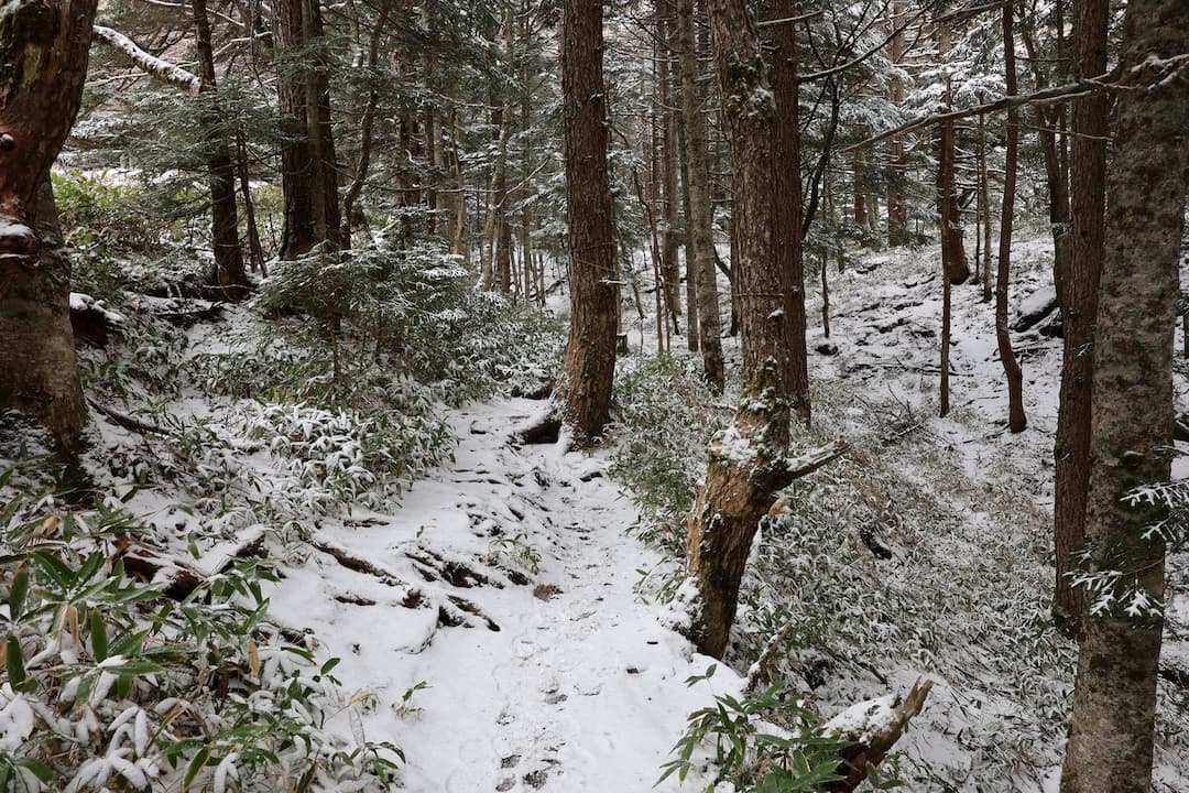 黒斑山　登山道