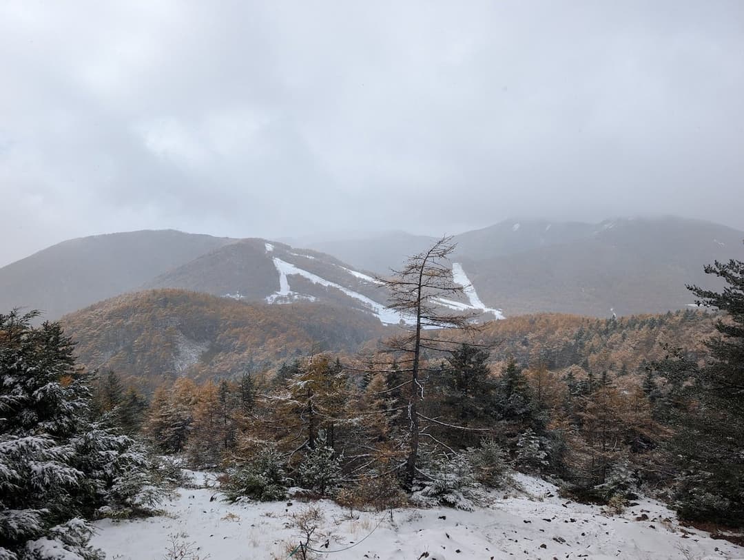 黒斑山　登山道