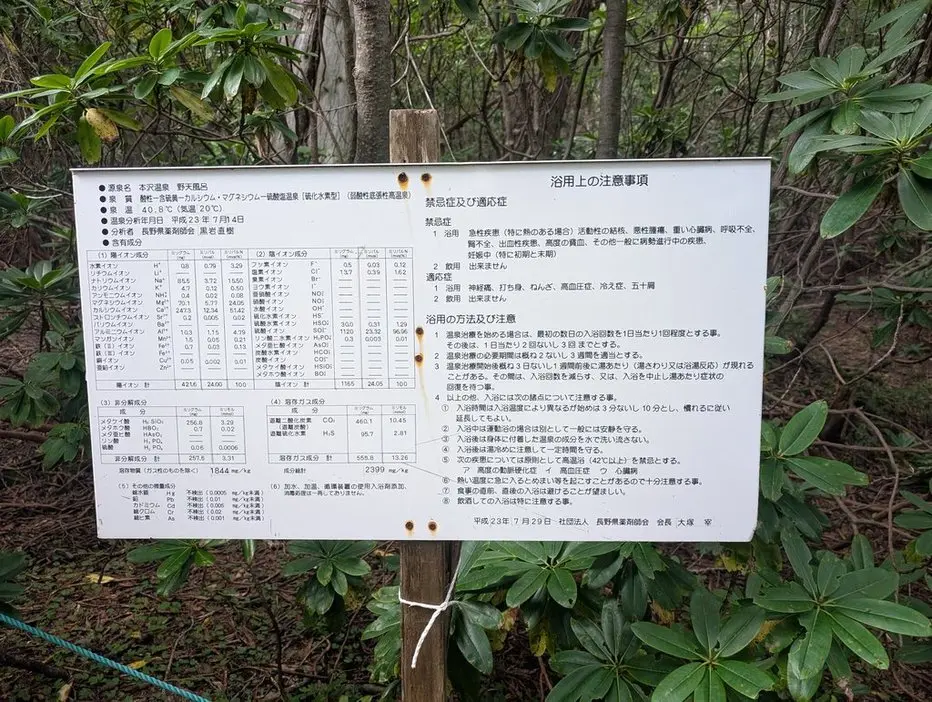 本沢温泉　野天風呂　泉質