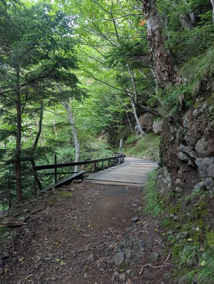 本沢温泉　登山道　林道