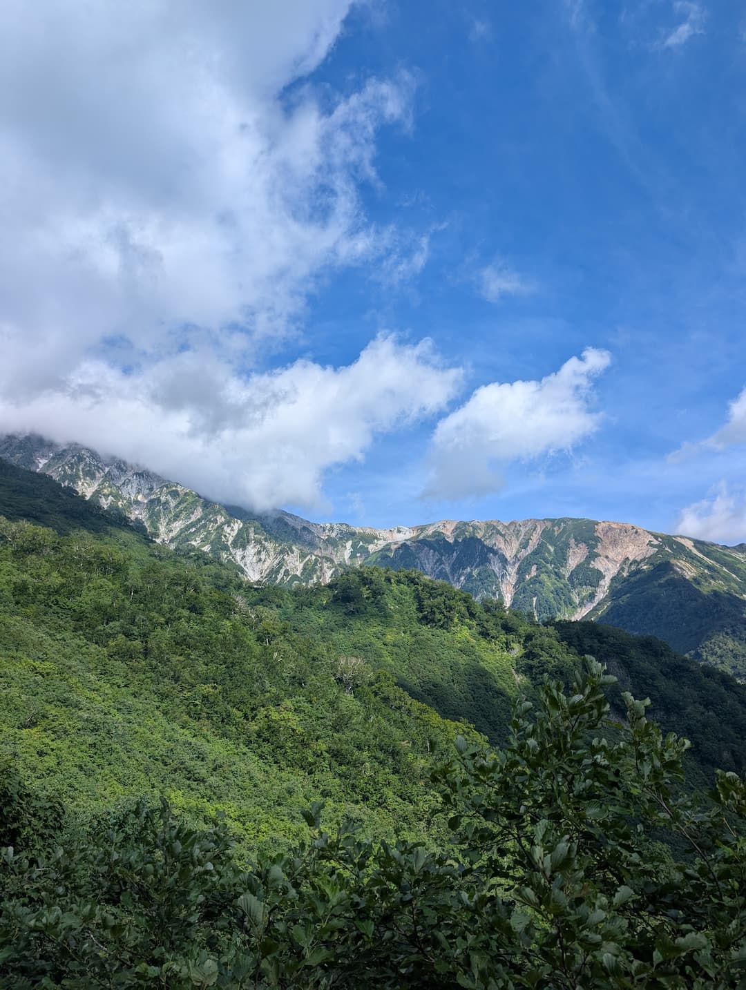 白馬鑓温泉　道中