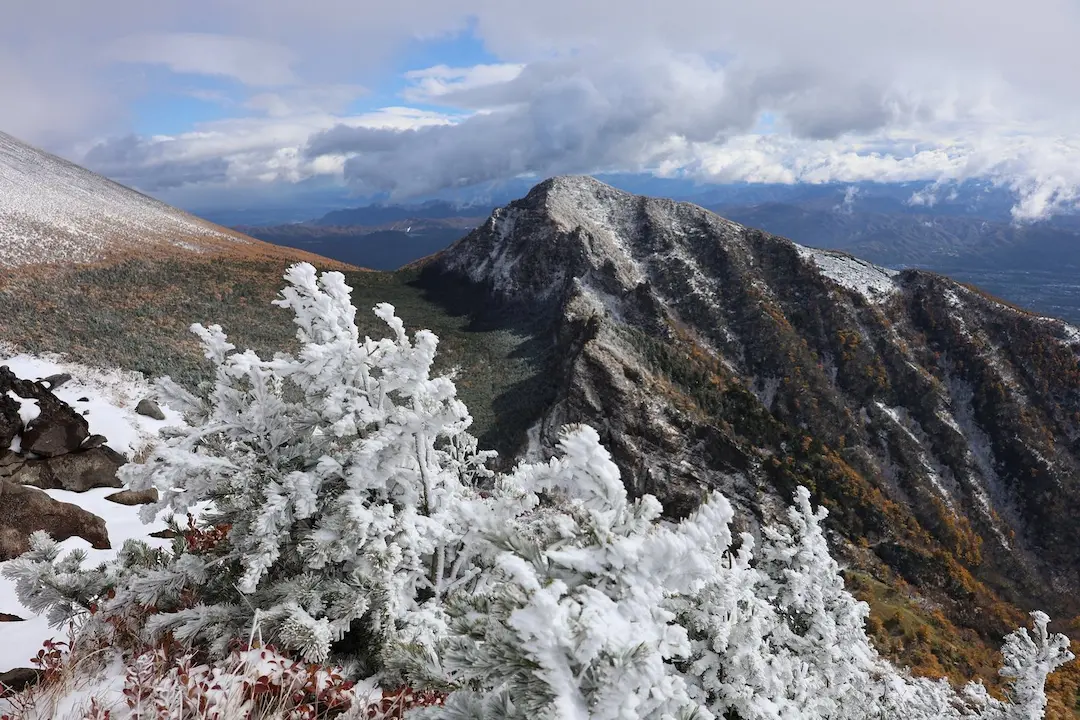 黒斑山　トーミの頭　登山道のエビ