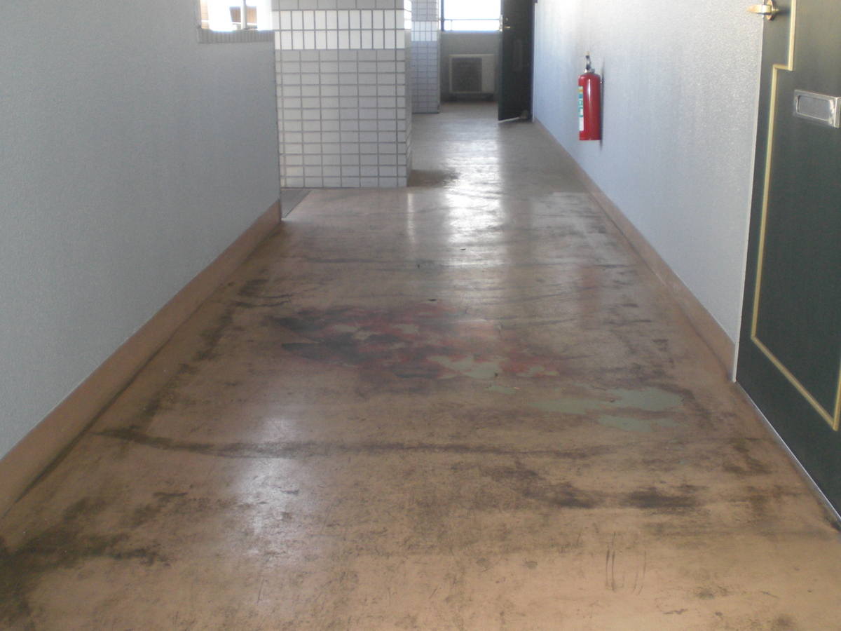 マンション廊下　長尺シート [神奈川県大和市] 画像 1