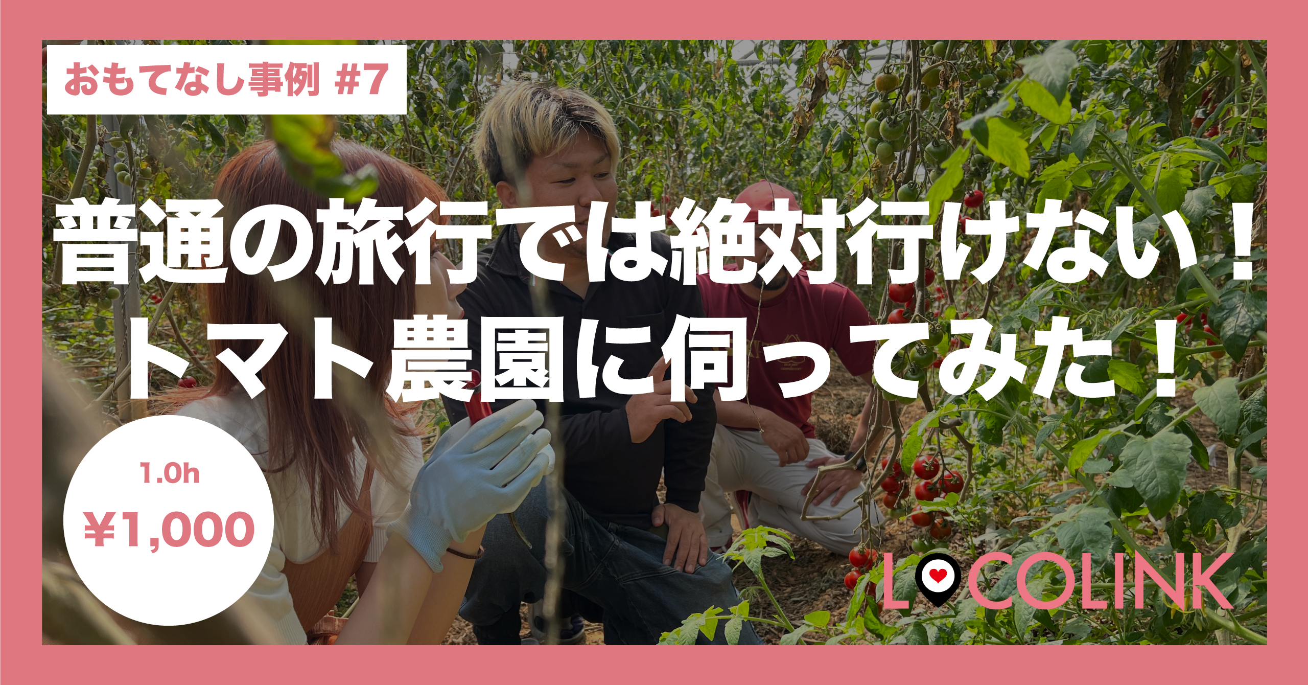 おもてなし体験記画像