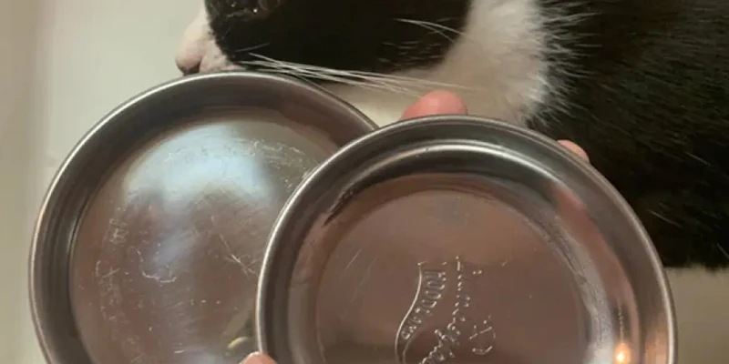 食器のぬめりも汚れもスッキリきれい！