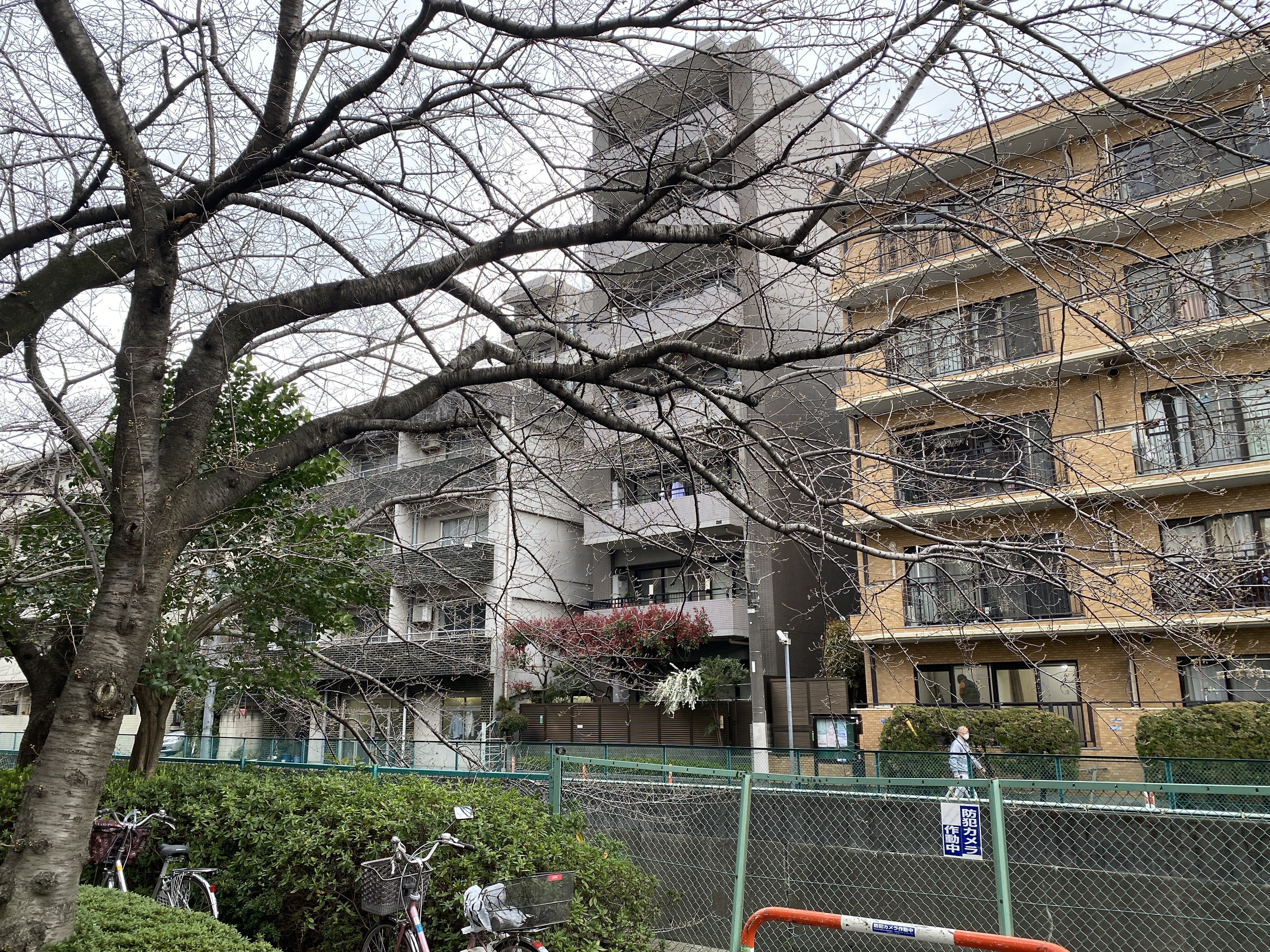 東京のマンションを売却して、鎌倉へ　　定年後の住み替え相談