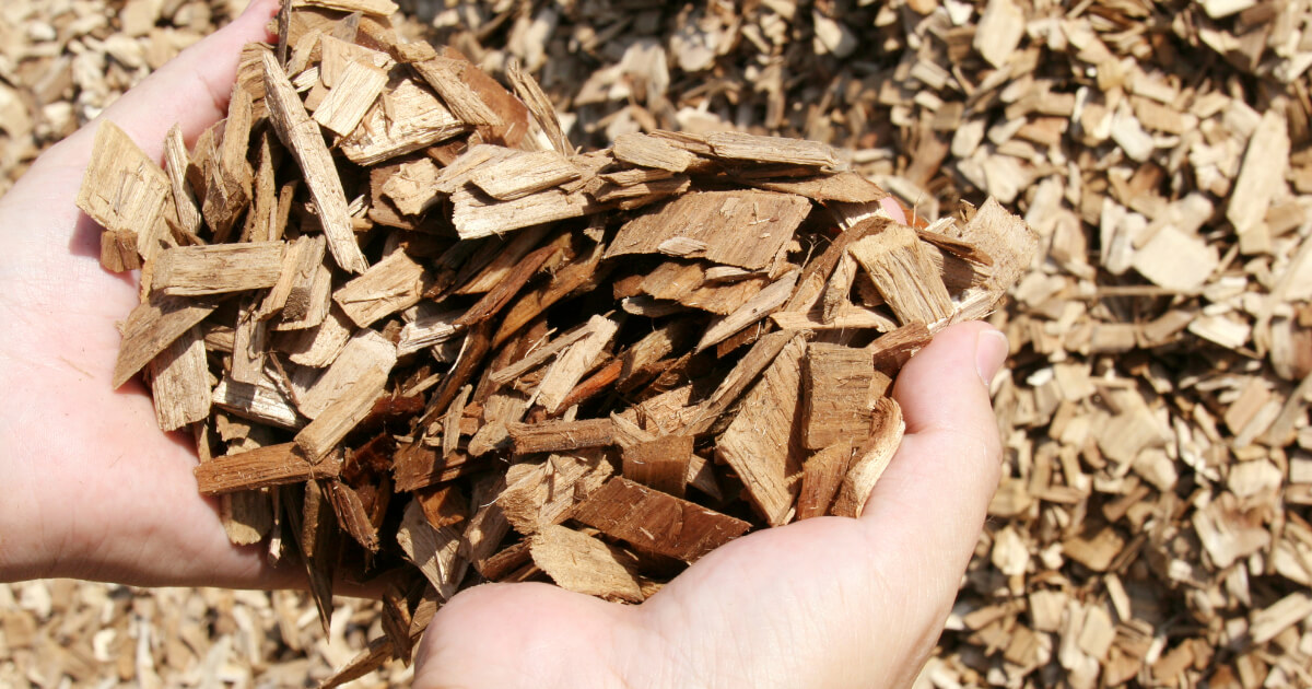 環境対応素材による包装材・緩衝材のプラスチック削減とSDGs・法規制対応のサムネイル