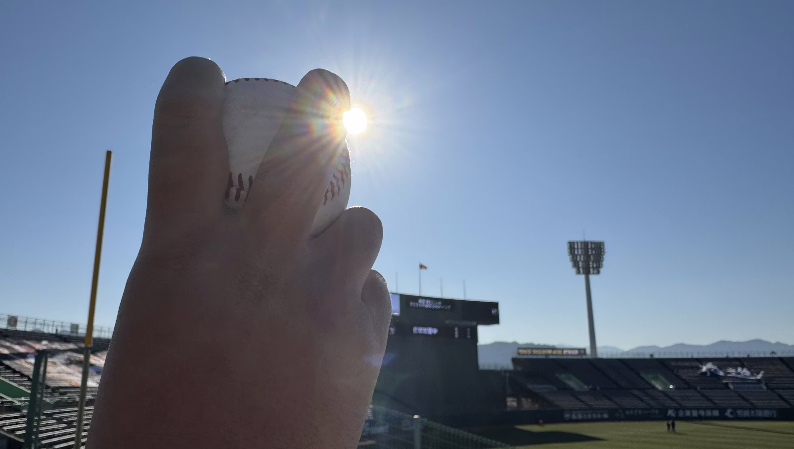 2026 プロ野球春季キャンプレポート Vol.3 侍ジャパン編