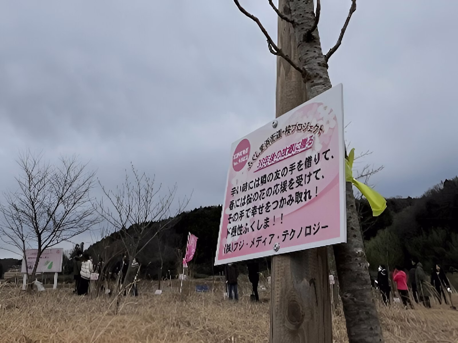 CSR活動報告:桜植樹2026