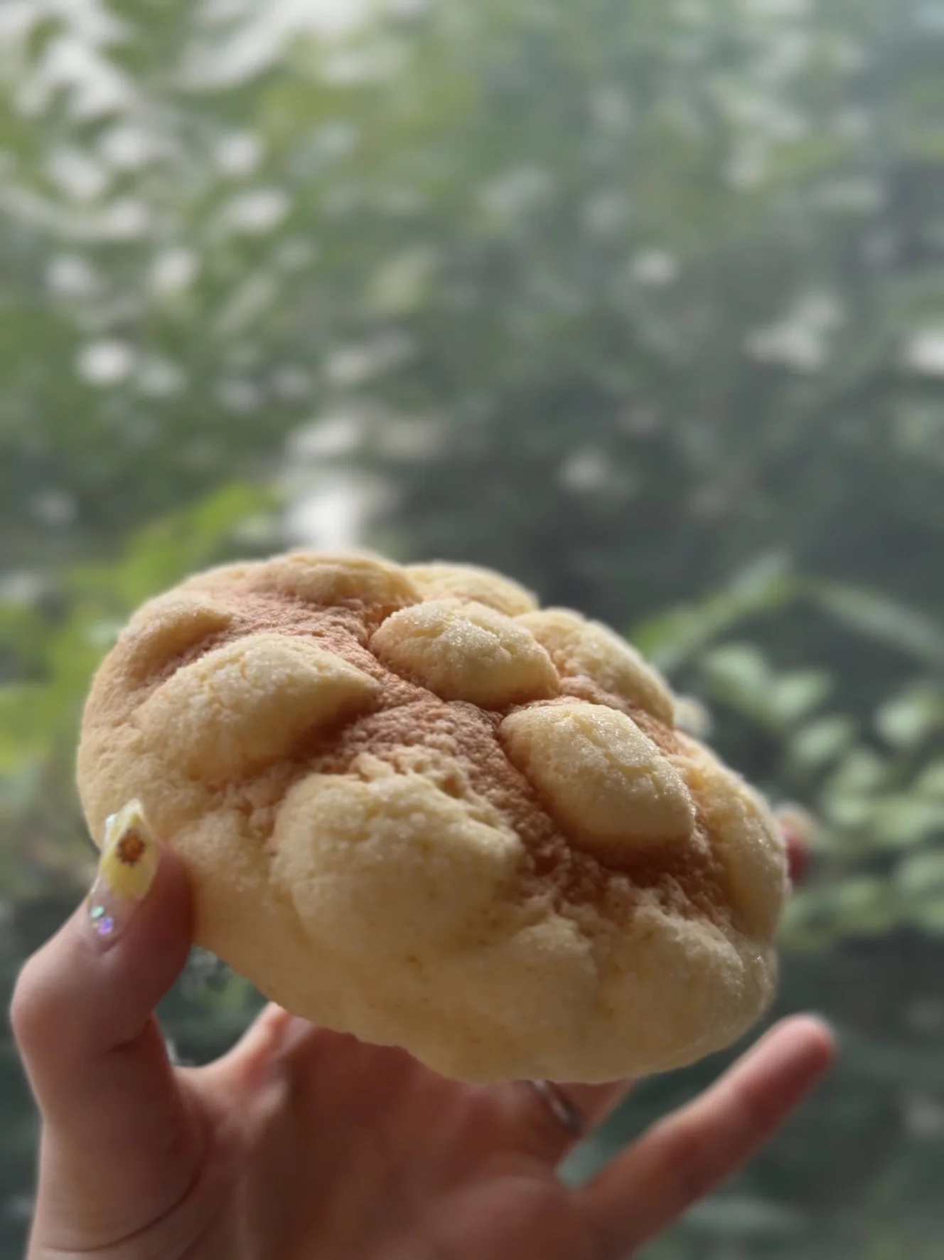 メロンパン。格子模様のクッキー生地に薄く焼き色がついている