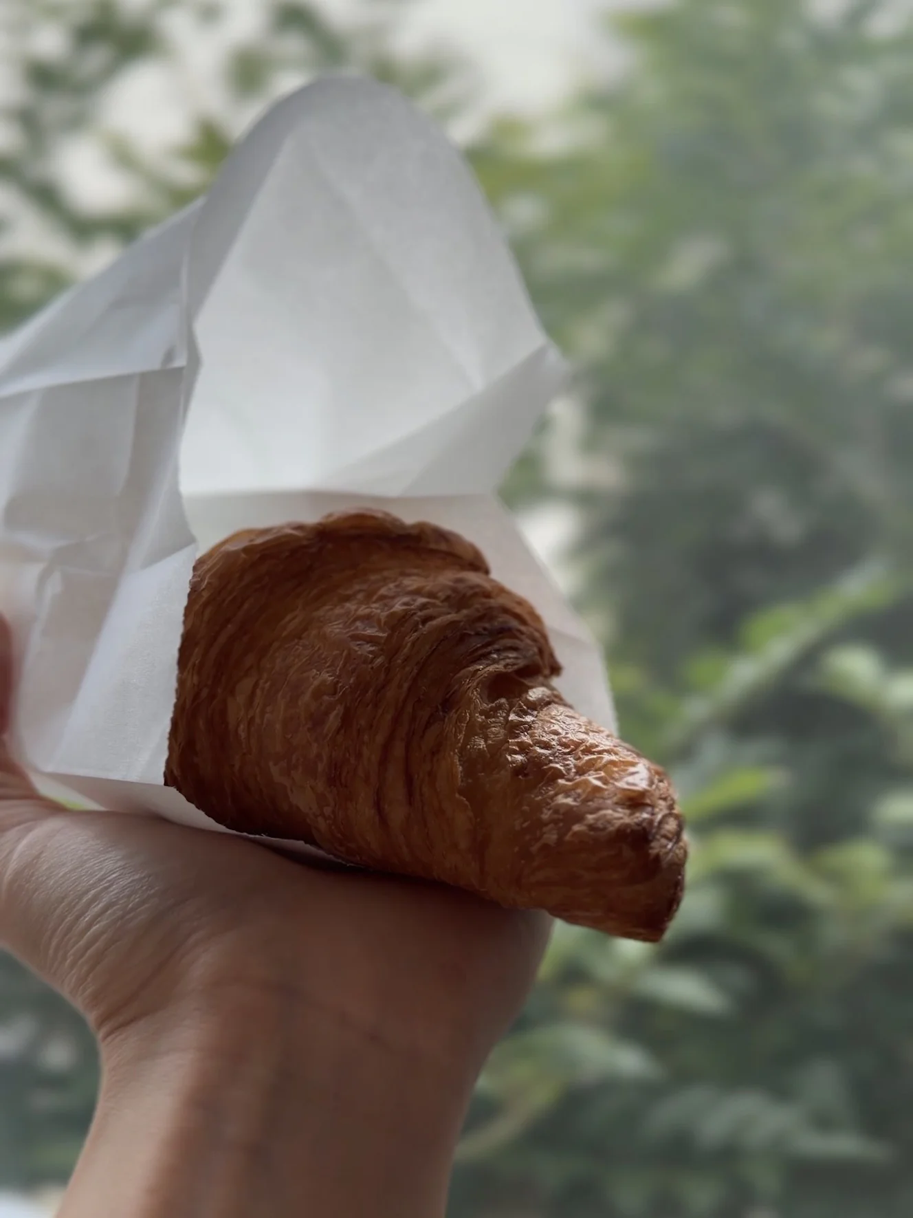 白い紙に包んだクロワッサンを手に持ったところ。横から層が重なって見える
