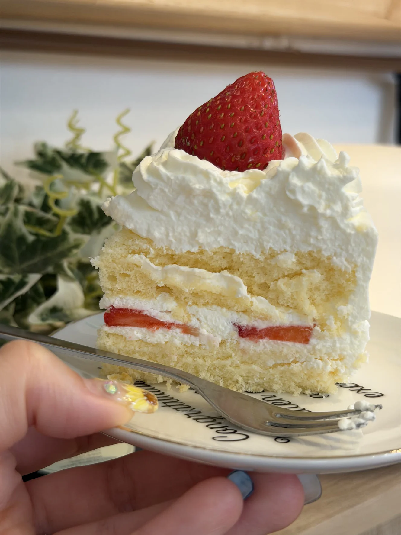 スポンジ3層・クリーム2層の断面。下段のクリームにだけスライス苺が挟まっている