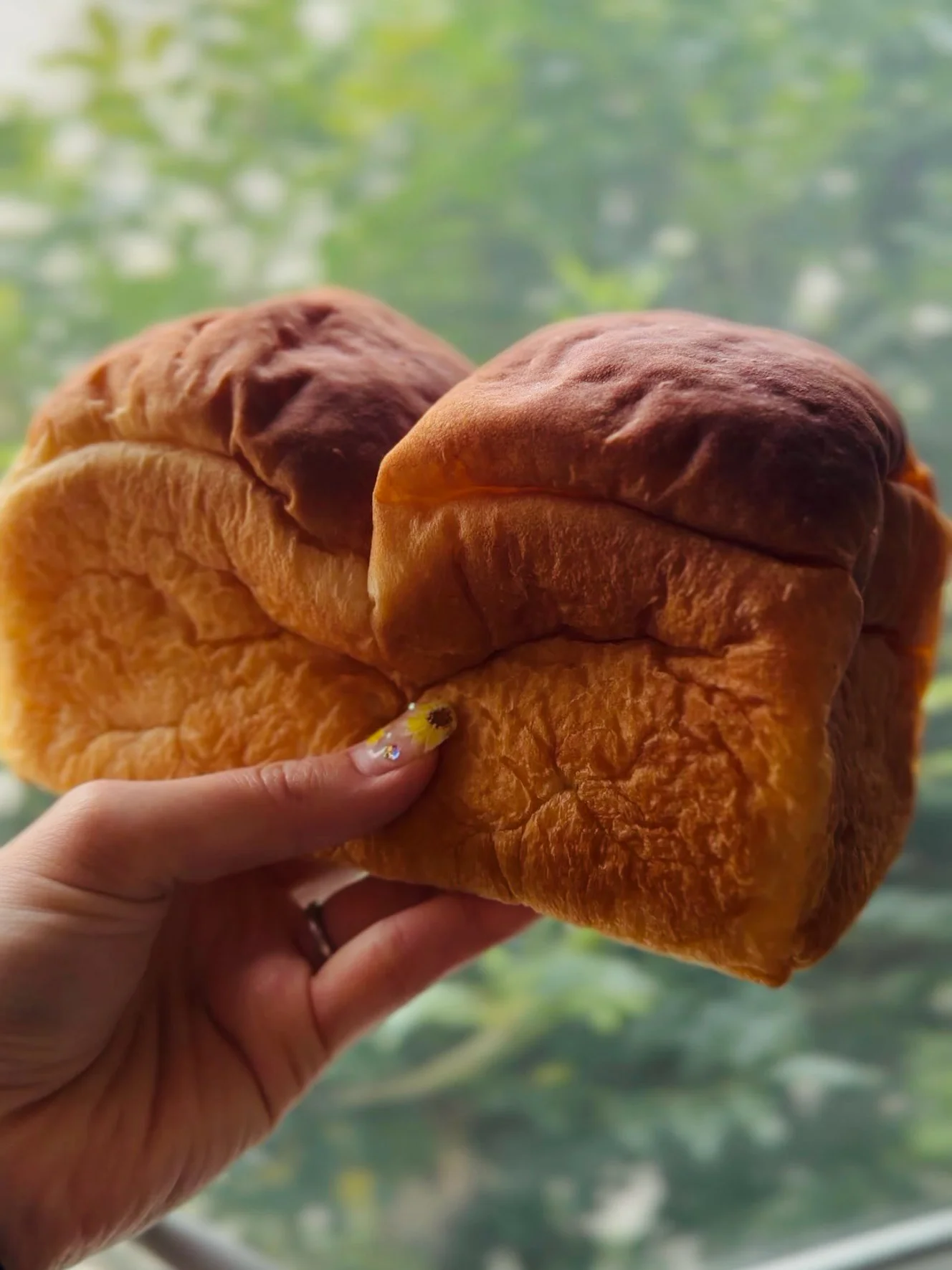 手に持った純生一斤。こんがりした焼き色の山が並ぶ、カットしていない一斤の食パン