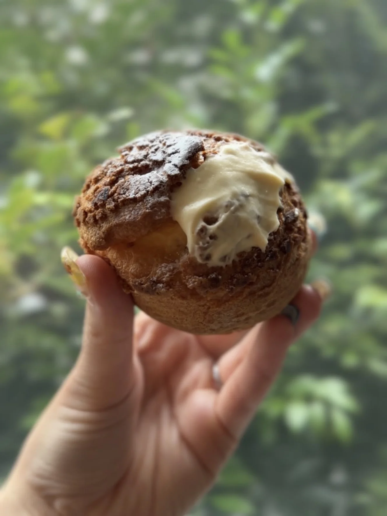 一口かじったシュークリーム。断面からカスタードクリームがのぞく