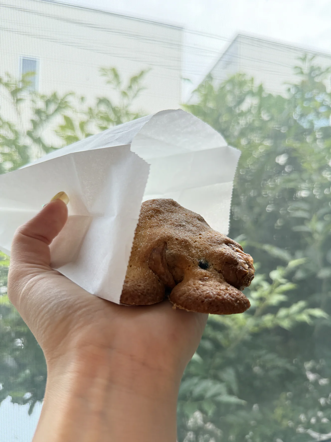 クロワッサン ショコラ ダマンド。白い粉がうっすらかかり、焼き固まったクッキー生地がひび割れている