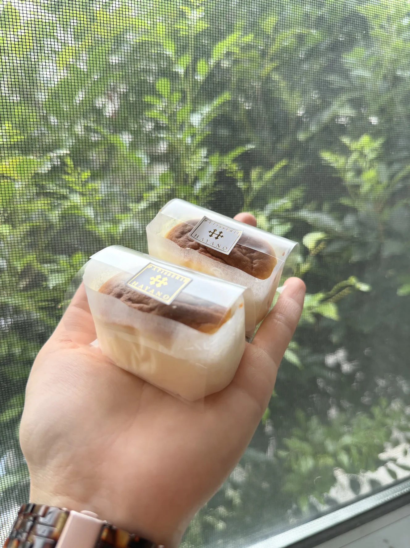 袋のまま手に持った窯焼きチーズケーキ2個。窓の外の緑が背景に入る