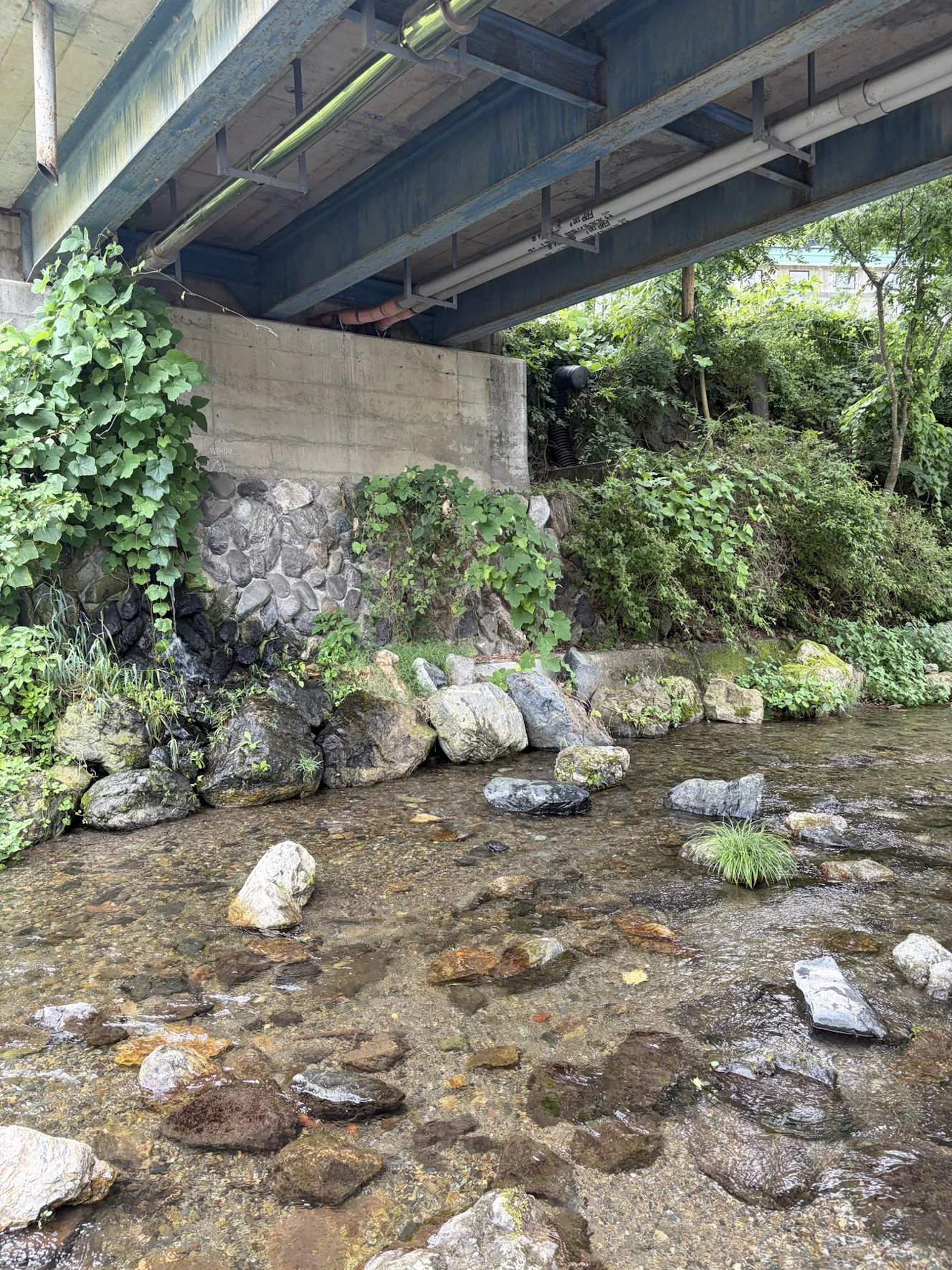道の駅あしがくぼの高架下を流れる川と河原の石