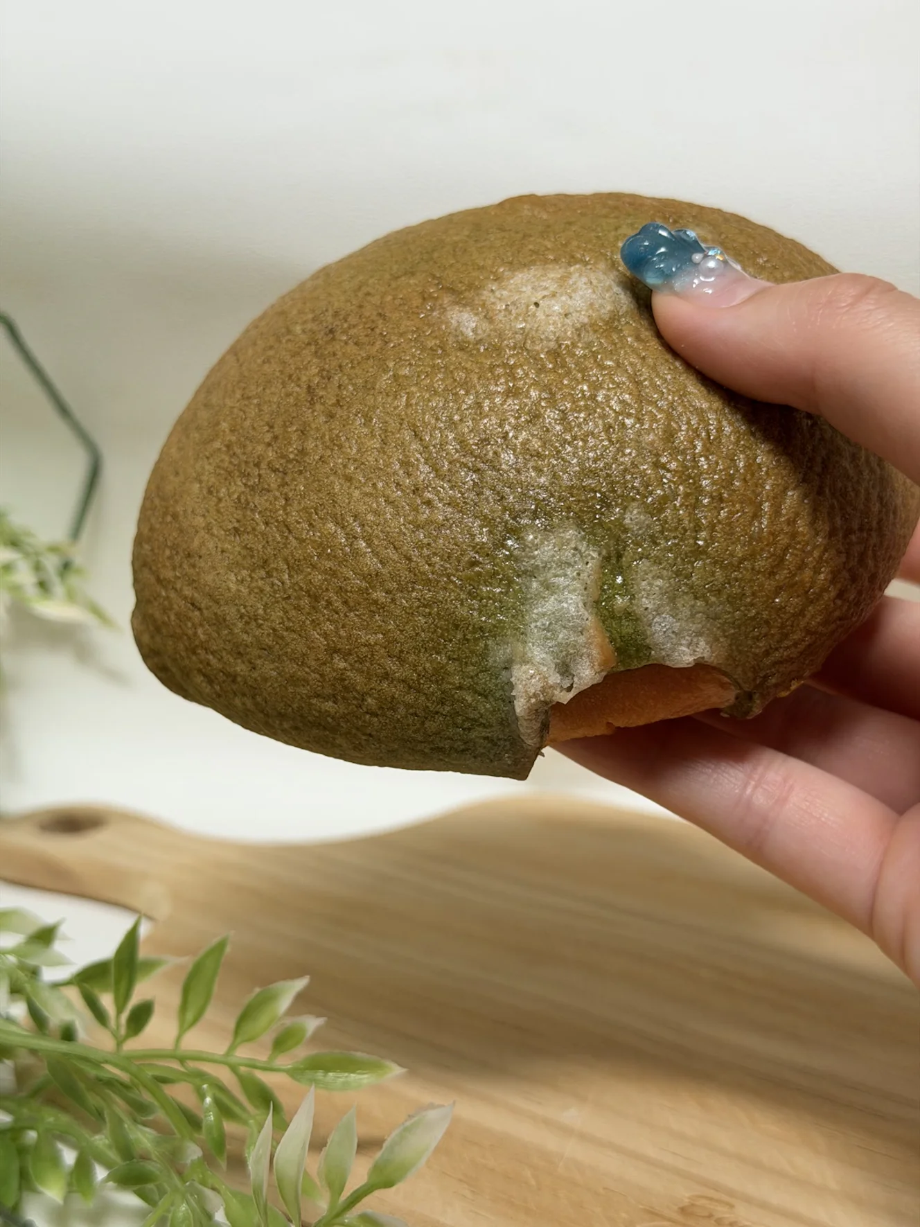 クリーム入りメロンパン。緑色の皮で、割れ目からオレンジ色の中身が見えている