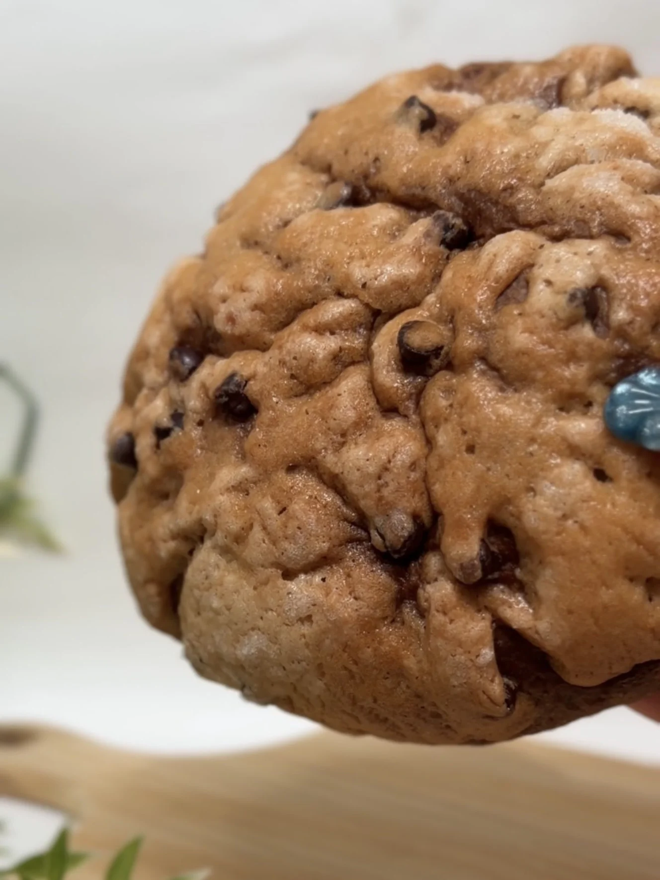 チョコチップメロンパン。ココア色の生地にチョコチップが散っている