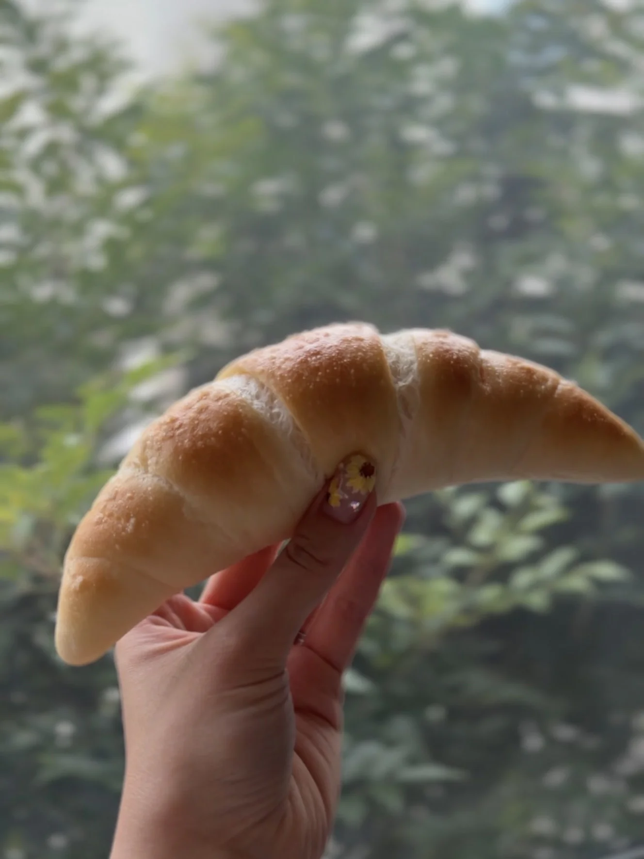 淡い焼き色の三日月形をした塩バターロール。表面に白い粒が見える