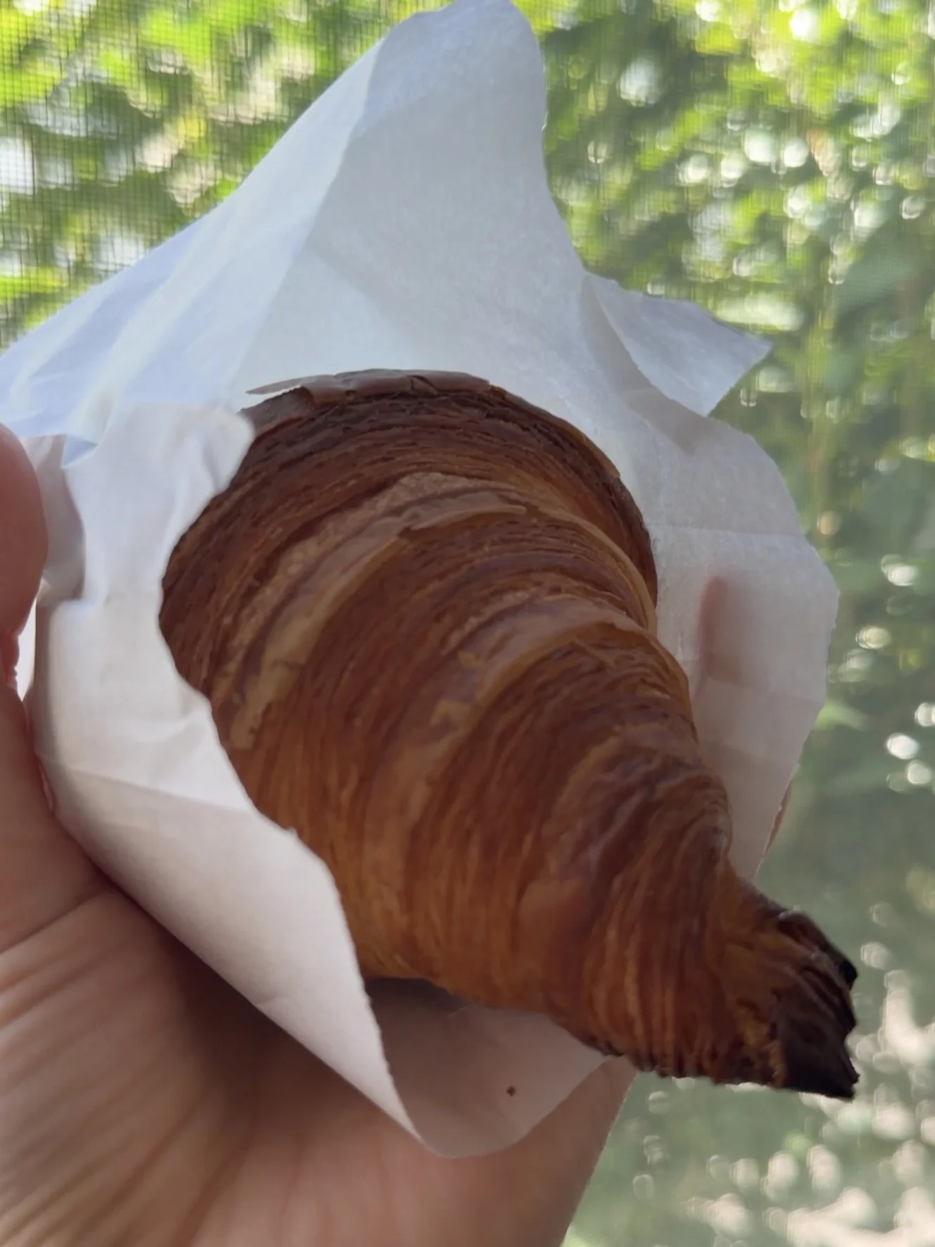クロワッサン。濃いきつね色に焼き上がり、層状の巻きがはっきり見える