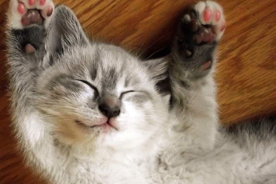 Nuxt ContentによるMarkdownコンテンツ管理システムの使い方