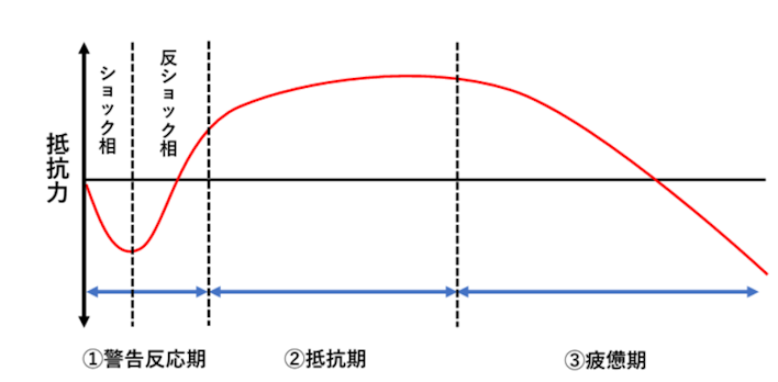 ストレス反応モデル