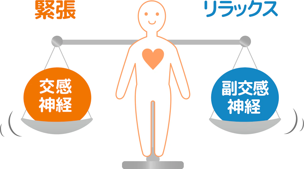 自律神経・ストレスの関係図