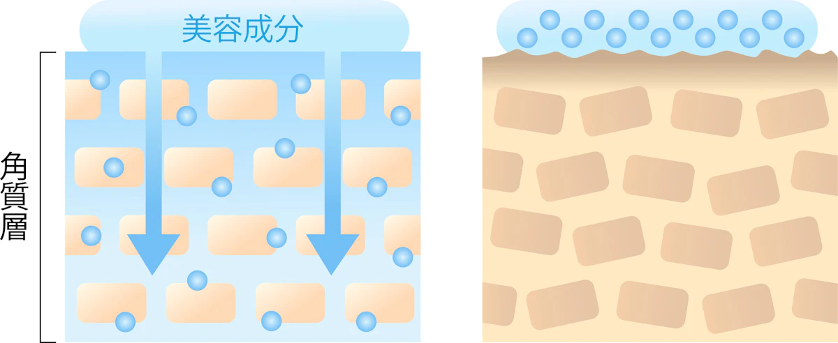 角質層との比較