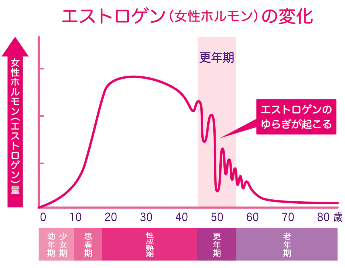 ホルモン変化と肌の関係のグラフ