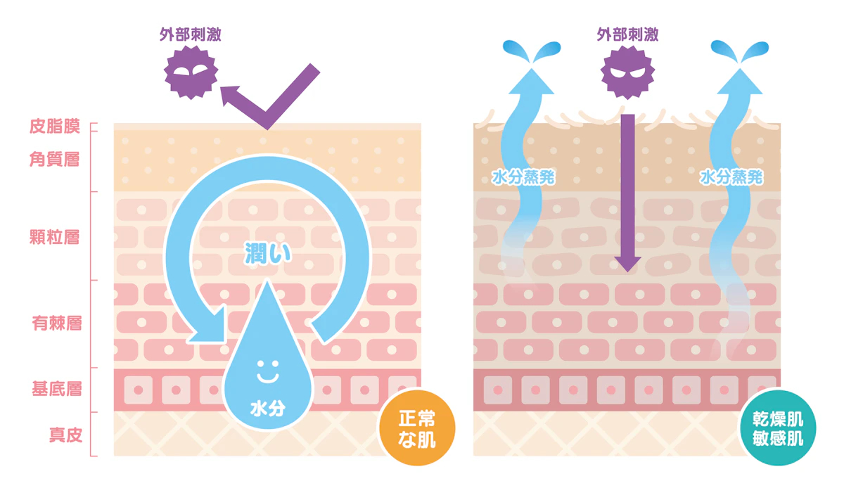 バリア機能比較