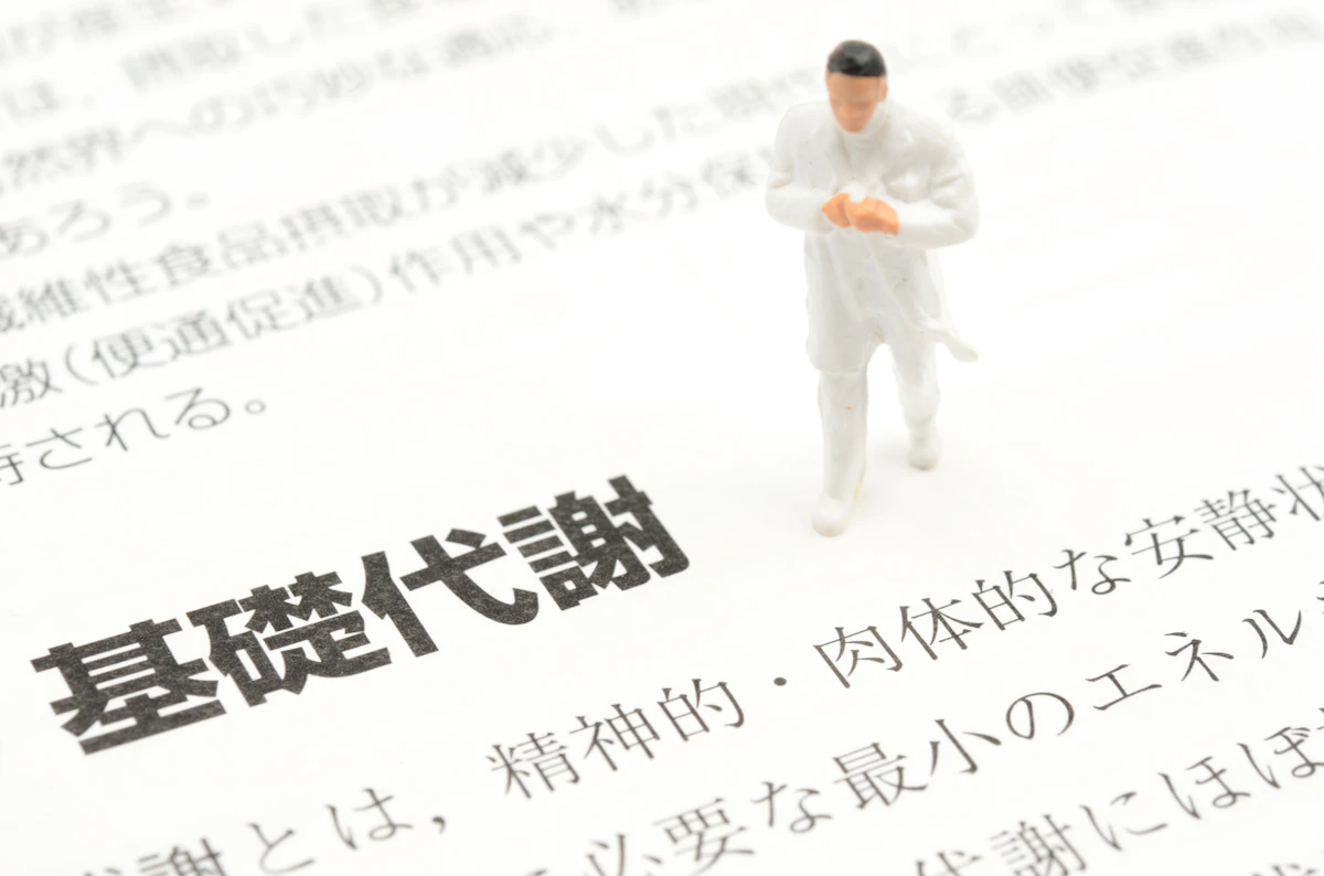 基礎代謝