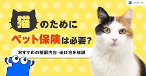 猫のためにペット保険は必要？おすすめの補償内容・選び方を解説 