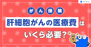 がん保険｜肝細胞がんの医療費はいくら必要？