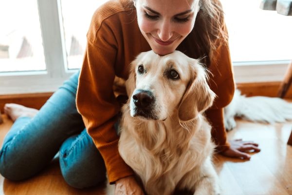 犬のペット保険に加入する前に!チェックしたい注意点