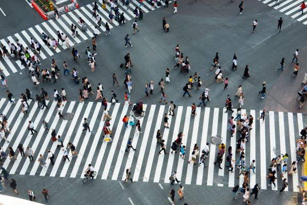 「103万円の壁」廃止で配偶者控除・配偶者特別控除はどうなる？
