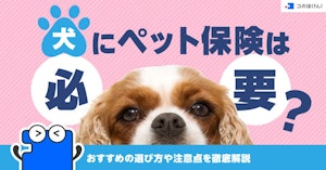 犬にペット保険は必要?おすすめの選び方や注意点を徹底解説