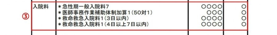 診療明細書(記載例）